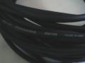 Pro Co 50' Foot Balanced XLR Microphone Cable