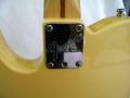 1990 USA Fender Telecaster - Neck plate