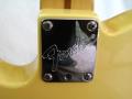 1990 USA Fender Telecaster - Neck plate